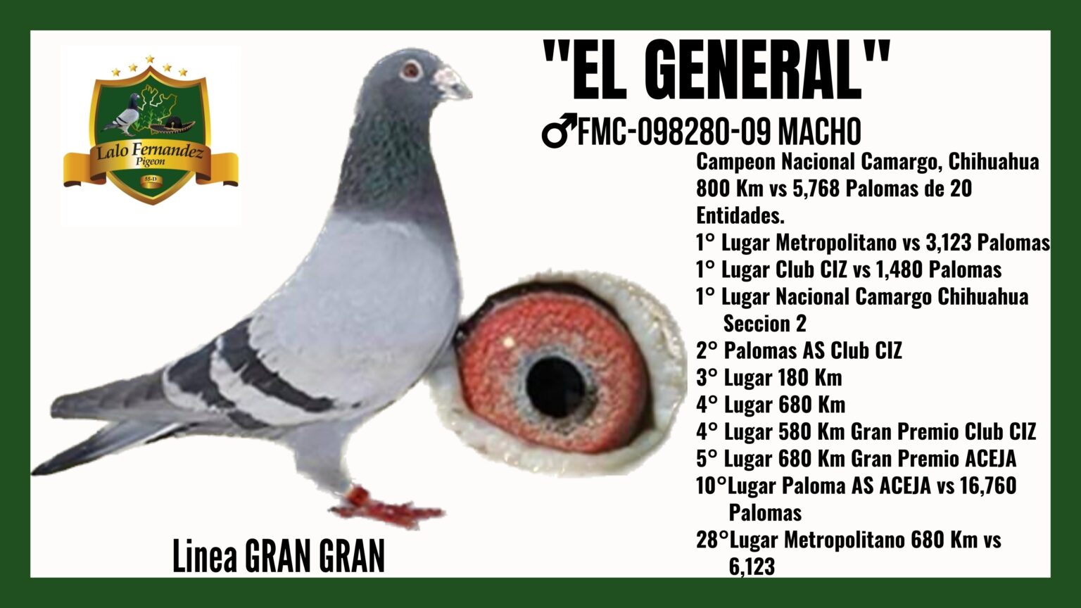 Paloma El general