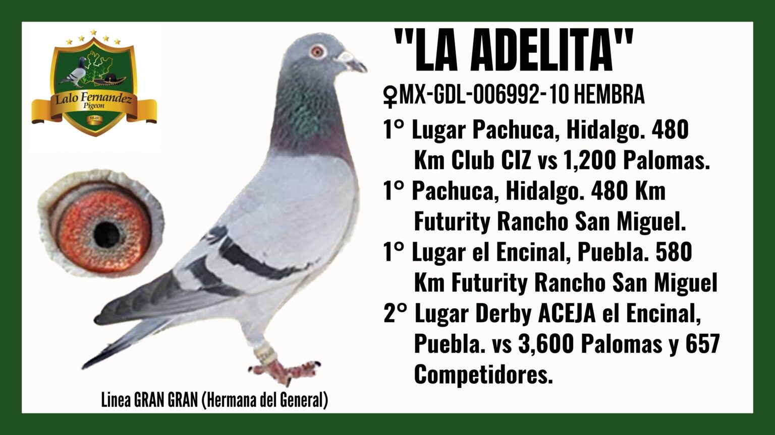 Paloma La Adelita