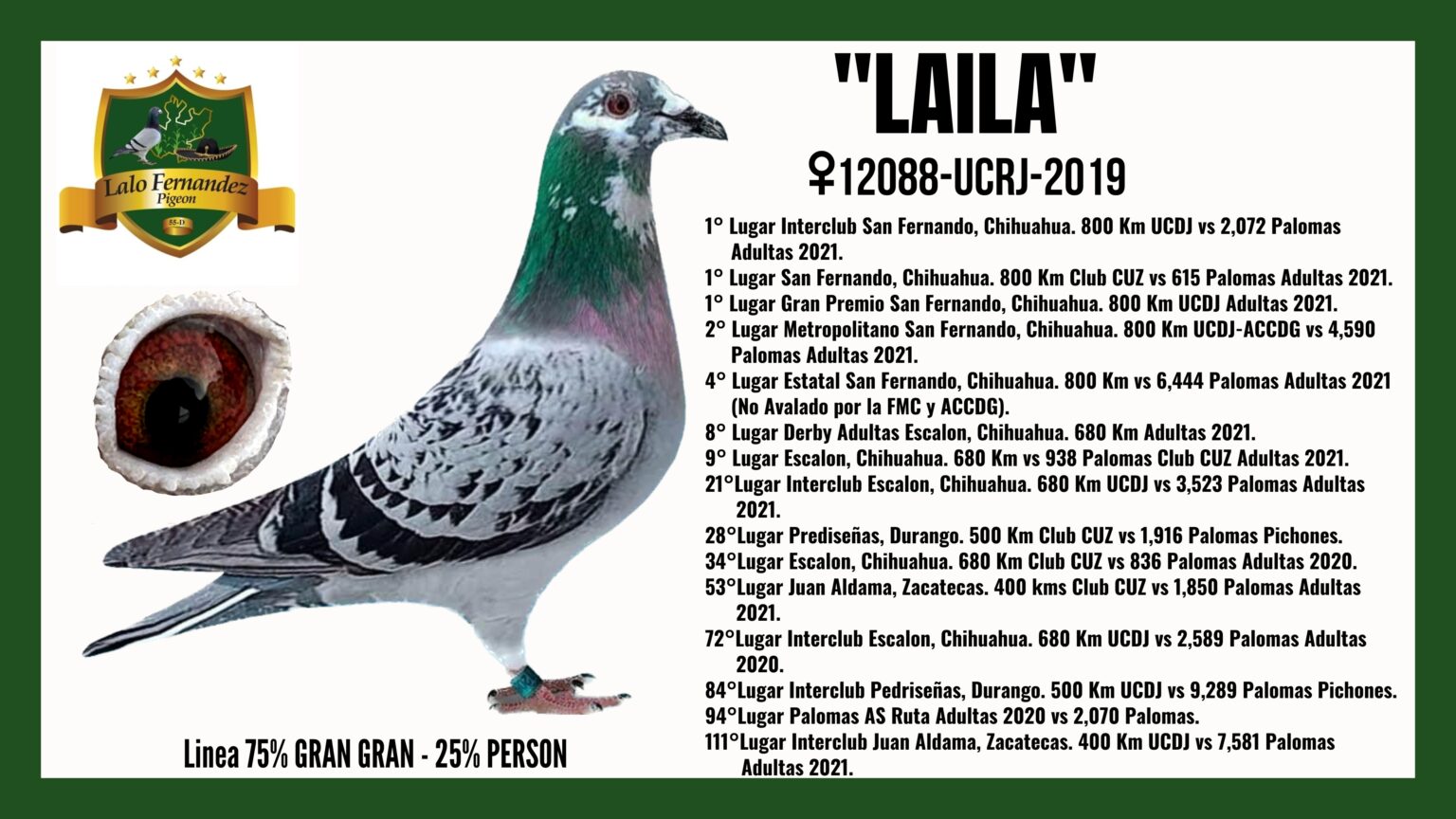Paloma Laila