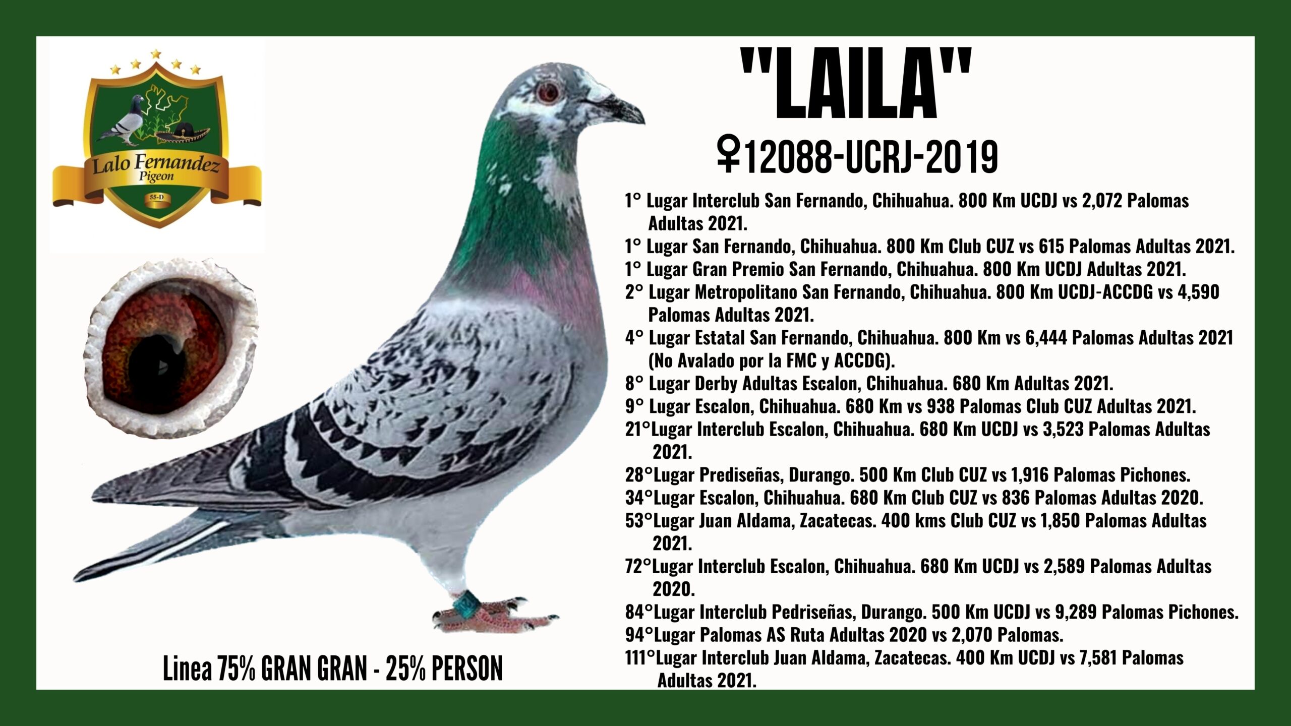 Paloma Laila