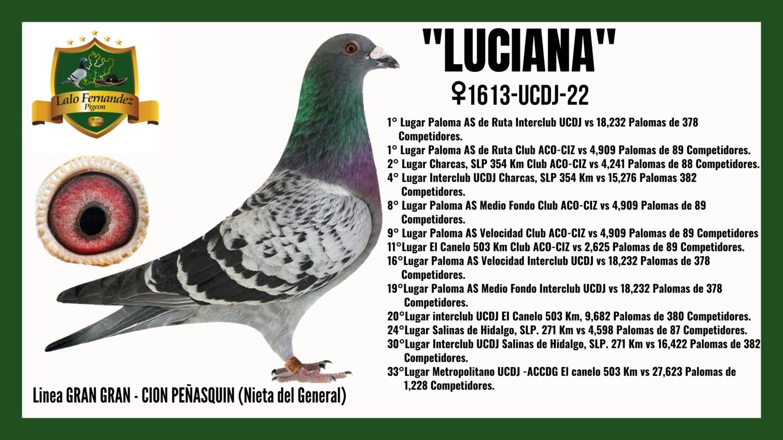 Paloma Luciana