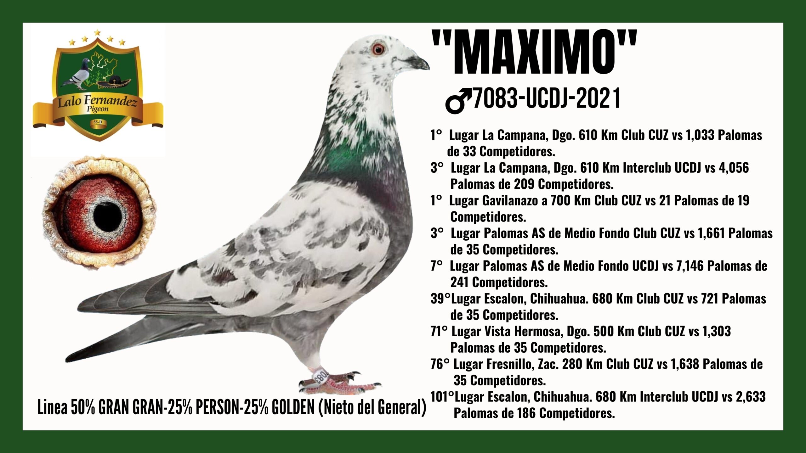 Paloma Maximo