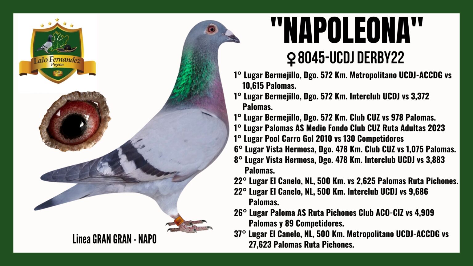 Paloma Napoleona