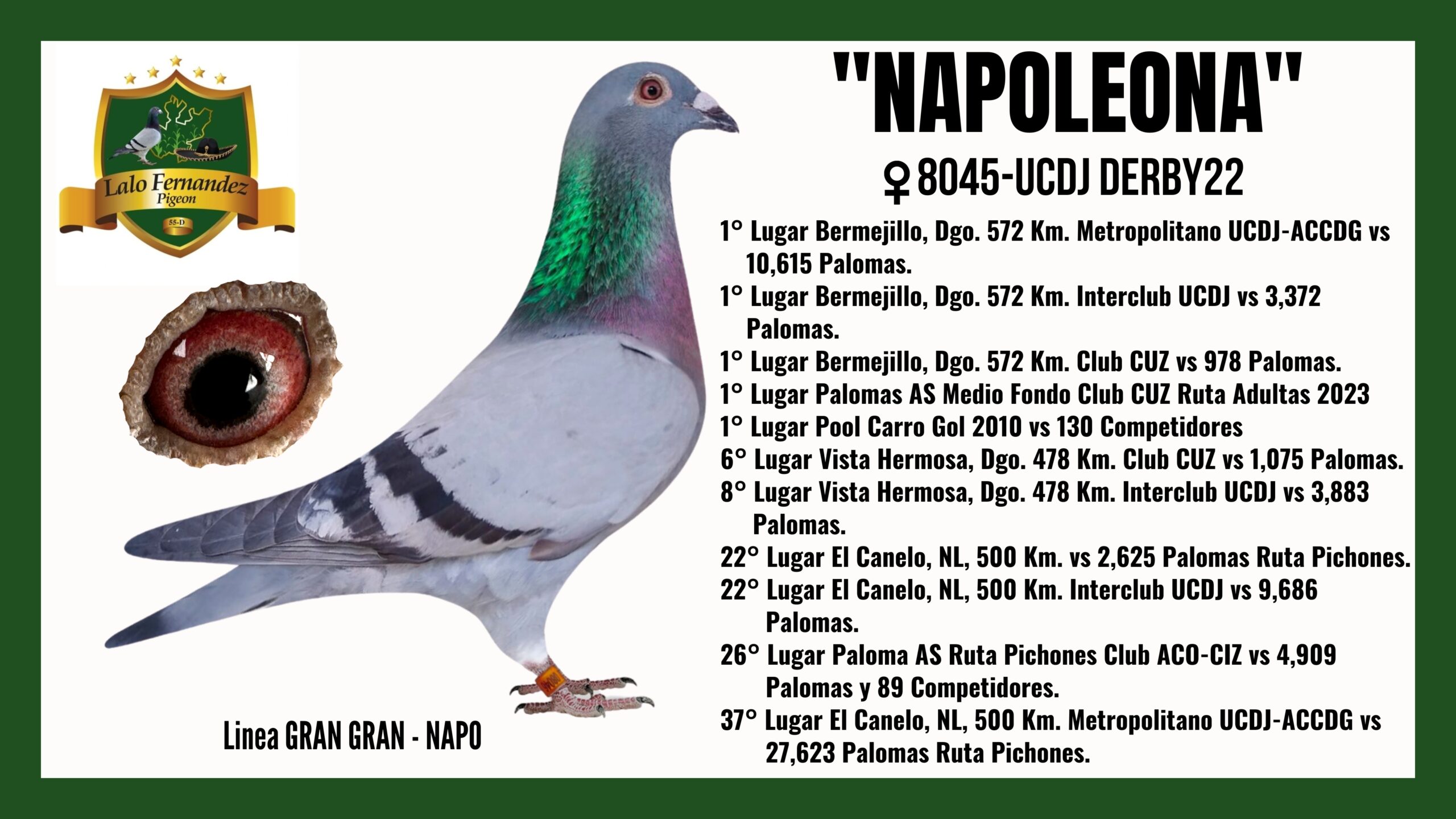 Paloma Napoleona