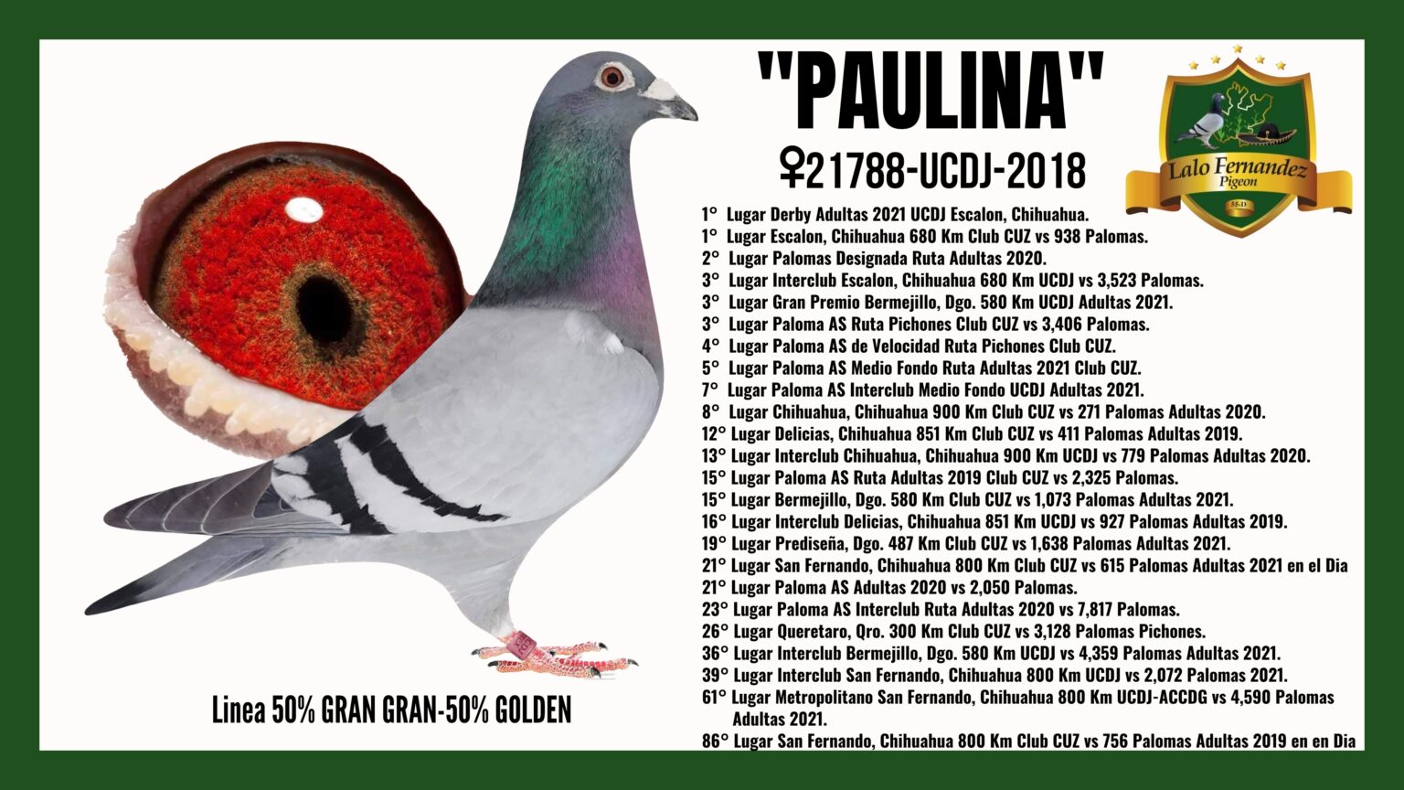 Paloma Paulina