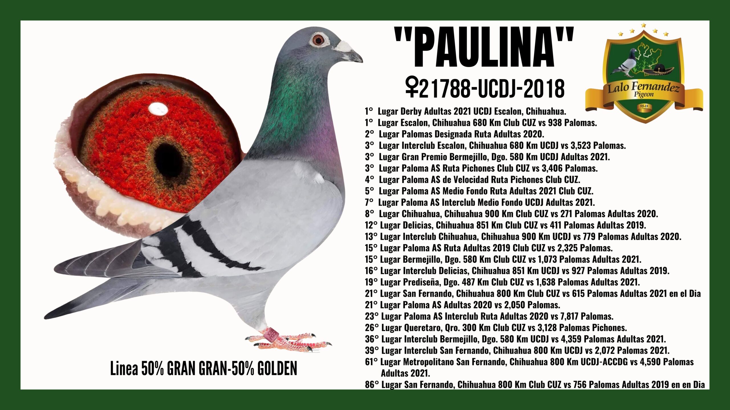 Paloma Paulina