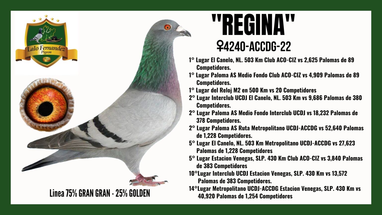 Paloma Regina