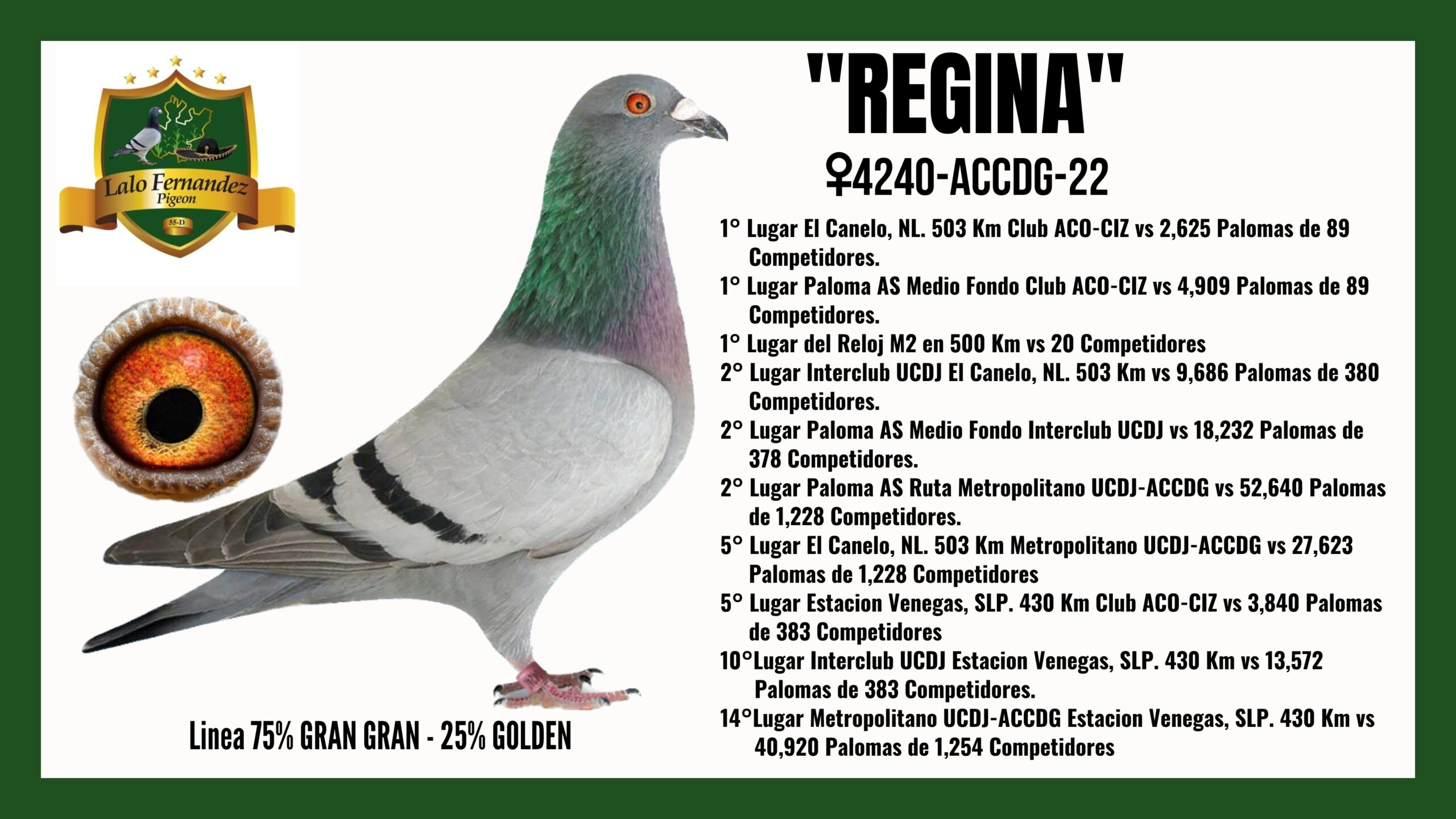 Paloma Regina