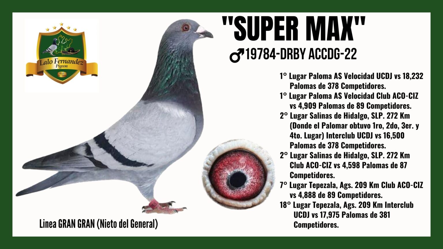 Paloma Super Max